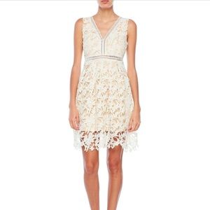 NWT ivory lace dress